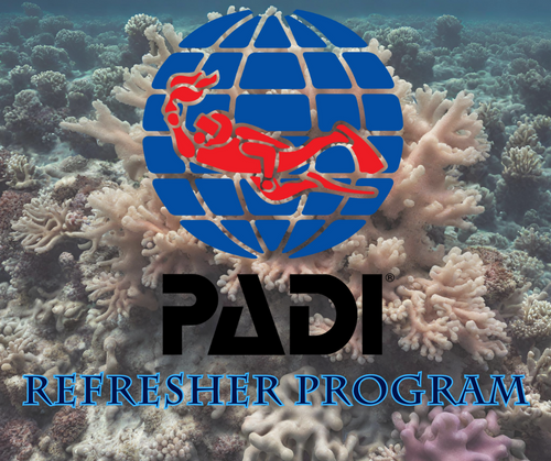 PADI Refresher Program - Phoenix Divers SA 