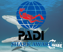Load image into Gallery viewer, PADI AWARE Shark Conservation - Phoenix Divers SA
