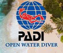 Load image into Gallery viewer, PADI Open Water Diver - Phoenix Divers SA