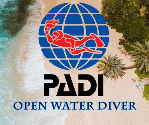 PADI Open Water Diver - Phoenix Divers SA 