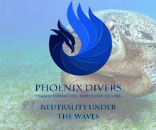 Load image into Gallery viewer, Neutrality Under The Waves
