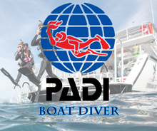 Load image into Gallery viewer, Boat Diver - Phoenix Divers SA