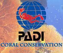 Load image into Gallery viewer, Coral Reef Conservation - Phoenix Divers SA