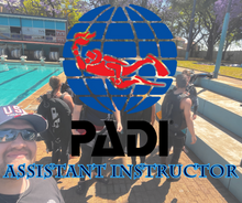 Load image into Gallery viewer, PADI Open Water Assistant Instructor - Phoenix Divers SA