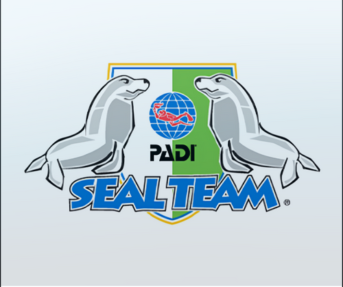 PADI Seal Team - Phoenix Divers SA 