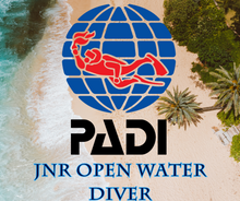 Load image into Gallery viewer, PADI Junior Open Water Diver Course - Phoenix Divers SA