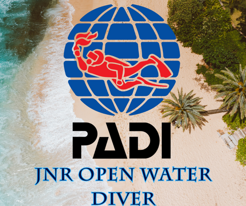 PADI Junior Open Water Diver Course - Phoenix Divers SA 