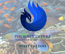 Load image into Gallery viewer, What's the Fish