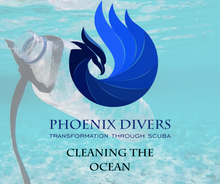 Load image into Gallery viewer, Cleaning The Ocean