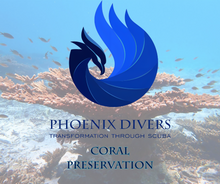 Load image into Gallery viewer, Coral Preservation