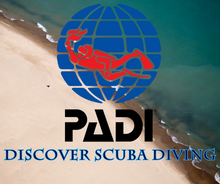 Load image into Gallery viewer, PADI Discover Scuba Diving - Phoenix Divers SA