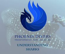 Load image into Gallery viewer, Understanding Sharks
