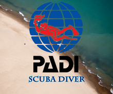 Load image into Gallery viewer, PADI Scuba Diver - Phoenix Divers SA