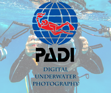 Load image into Gallery viewer, PADI Digital Underwater Photography