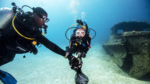 Load image into Gallery viewer, Dive Against Debris - Phoenix Divers SA