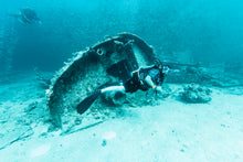 Load image into Gallery viewer, Neutrality Under The Waves