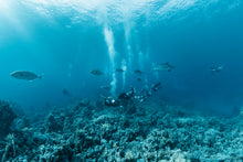 Load image into Gallery viewer, Reorientation Program - Phoenix Divers SA