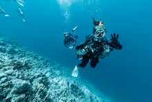 Load image into Gallery viewer, Neutrality Under The Waves