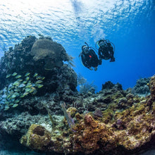 Load image into Gallery viewer, Coral Reef Conservation - Phoenix Divers SA