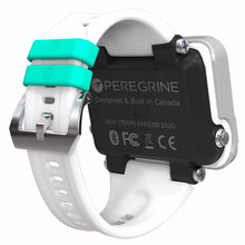 Load image into Gallery viewer, Shearwater Peregrine