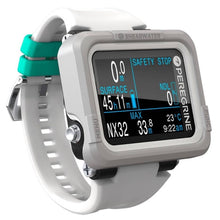 Load image into Gallery viewer, Shearwater Peregrine