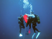 Load image into Gallery viewer, PADI Advanced Open Water Diver - Phoenix Divers SA 
