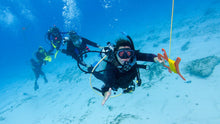 Load image into Gallery viewer, PADI Divemaster Course - Phoenix Divers SA