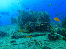 Load image into Gallery viewer, PADI Open Water Diver - Phoenix Divers SA