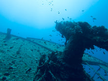 Load image into Gallery viewer, PADI Advanced Open Water Diver - Phoenix Divers SA