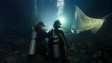Load image into Gallery viewer, PADI Night Diver - Phoenix Divers SA