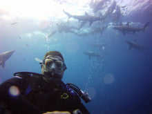 Load image into Gallery viewer, PADI AWARE Shark Conservation - Phoenix Divers SA