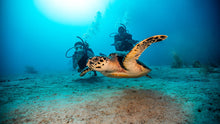 Load image into Gallery viewer, PADI Scuba Diver - Phoenix Divers SA