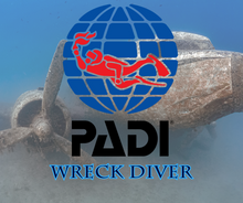 Load image into Gallery viewer, PADI Wreck Diver - Phoenix Divers SA 
