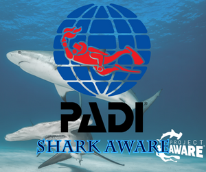 PADI AWARE Shark Conservation - Phoenix Divers SA 