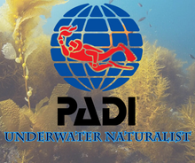 Load image into Gallery viewer, PADI Underwater Naturalist - Phoenix Divers SA 
