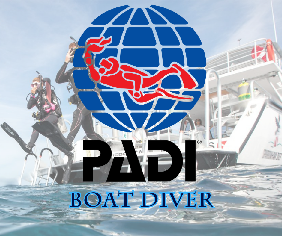 Boat Diver - Phoenix Divers SA 