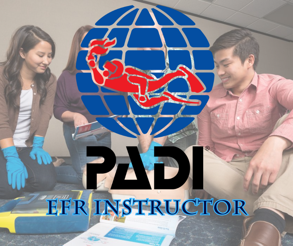 PADI Emergency First Response (EFR) Instructor - Phoenix Divers SA 