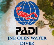 Load image into Gallery viewer, PADI Junior Open Water Diver Course - Phoenix Divers SA 
