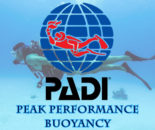 PADI Peak Performance Buoyancy - Phoenix Divers SA 