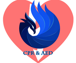CPR & AED Course - Phoenix Divers SA 