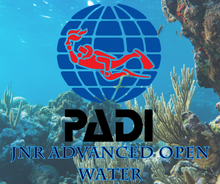 Load image into Gallery viewer, PADI Junior Adventure Diver - Phoenix Divers SA 
