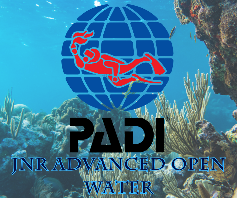 PADI Junior Adventure Diver - Phoenix Divers SA 