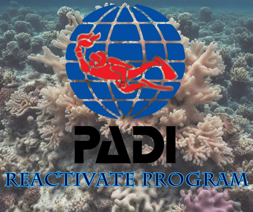 PADI ReActivate Scuba Refresher Program - Phoenix Divers SA 