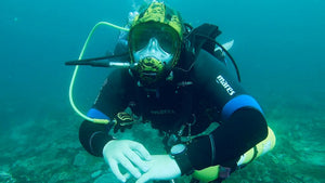 PADI Full Face Mask Diver - Phoenix Divers SA 