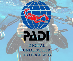 PADI Digital Underwater Photography