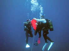 Load image into Gallery viewer, PADI Search and Recovery Diver - Phoenix Divers SA 
