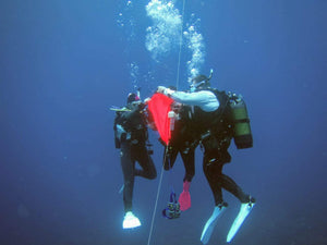 PADI Search and Recovery Diver - Phoenix Divers SA 