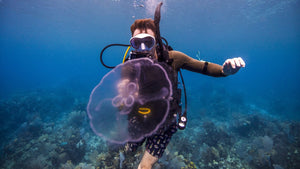PADI Discover Scuba Diving - Phoenix Divers SA 