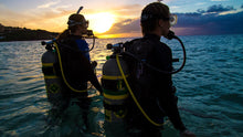 Load image into Gallery viewer, PADI Open Water Scuba Instructor - Phoenix Divers SA 
