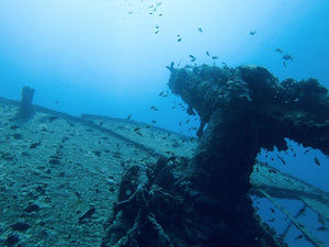 PADI Wreck Diver - Phoenix Divers SA 